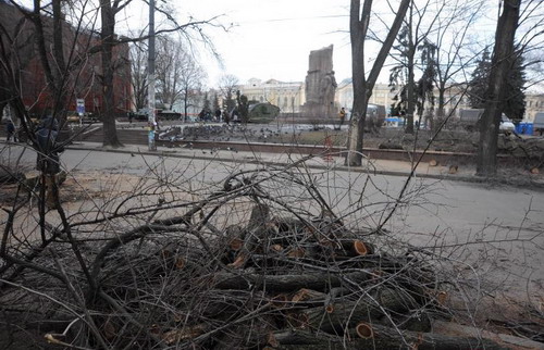 Все деревья поражены грибком, на них много сухих веток. Фото с сайта Харьковского горсовета.