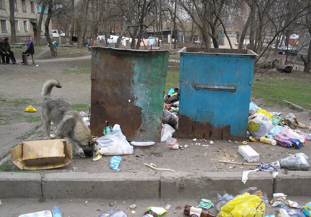 Город "попрощается" с такими мусорными контейнерами. Фото из архива "КП".