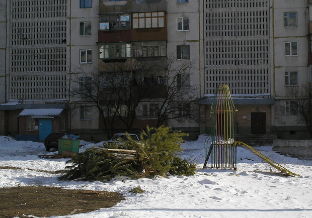Харьковчане чаще всего выбрасывают деревца в неположенных местах. Фото из архива "КП".
