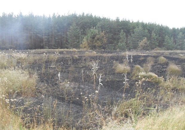 Под Харьковом начали гореть леса. Фото с сайта ГТУ МЧС Украины в Харьковской области.