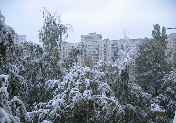 Новость - Досуг и еда - Фотофакт: Харьков накрыло первым снегом