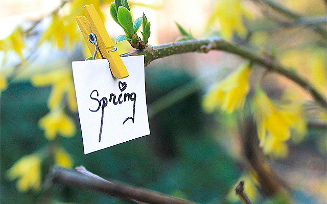 Весна уже не сдаст позиции. Фото с сайта freehdwalls.net.