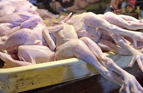 Употребление мяса, зараженного сальмонеллезом, может вызвать тяжелейшие последствия. Фото с сайта cripo.com.ua.