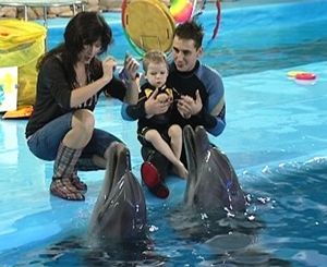 В харьковском дельфинарии нашли нарушения правил содержания животных. Фото с сайта plazoo.com