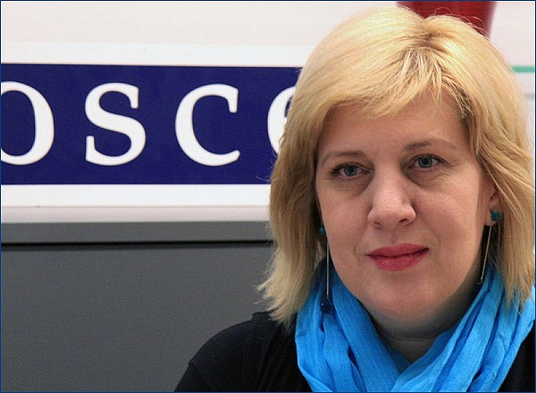 ЕС обратилось с официальным заявлением к Украине, чтобы представителя ОБСЕ Дуню Миятович в нашей стране приняли хорошо и сотрудничали с ней. Фото с сайта mignews.com