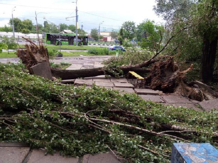 Новость - События - Стихия в Харькове: "Потоп" на рынке, парализованный транспорт и 120 сломанных деревьев (фото,видео)