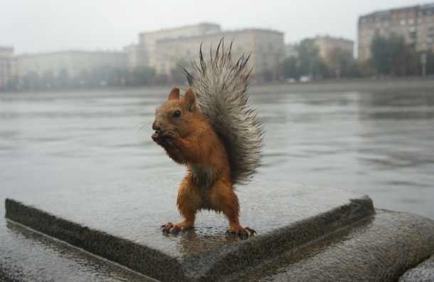 Новость - События - "Готовь резиновые сапоги": харьковчан предупреждают про дожди, град и шквалы