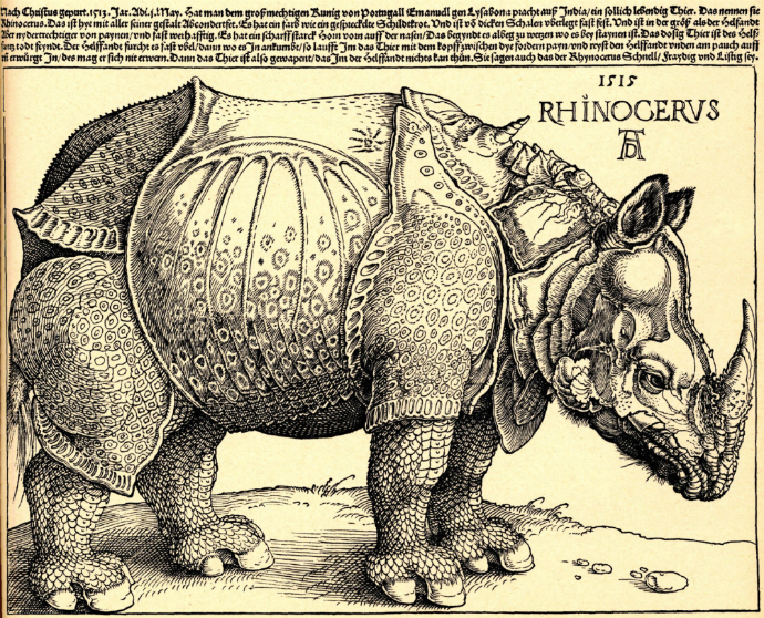 Альбрехт Дюрер "Носорог", 1515