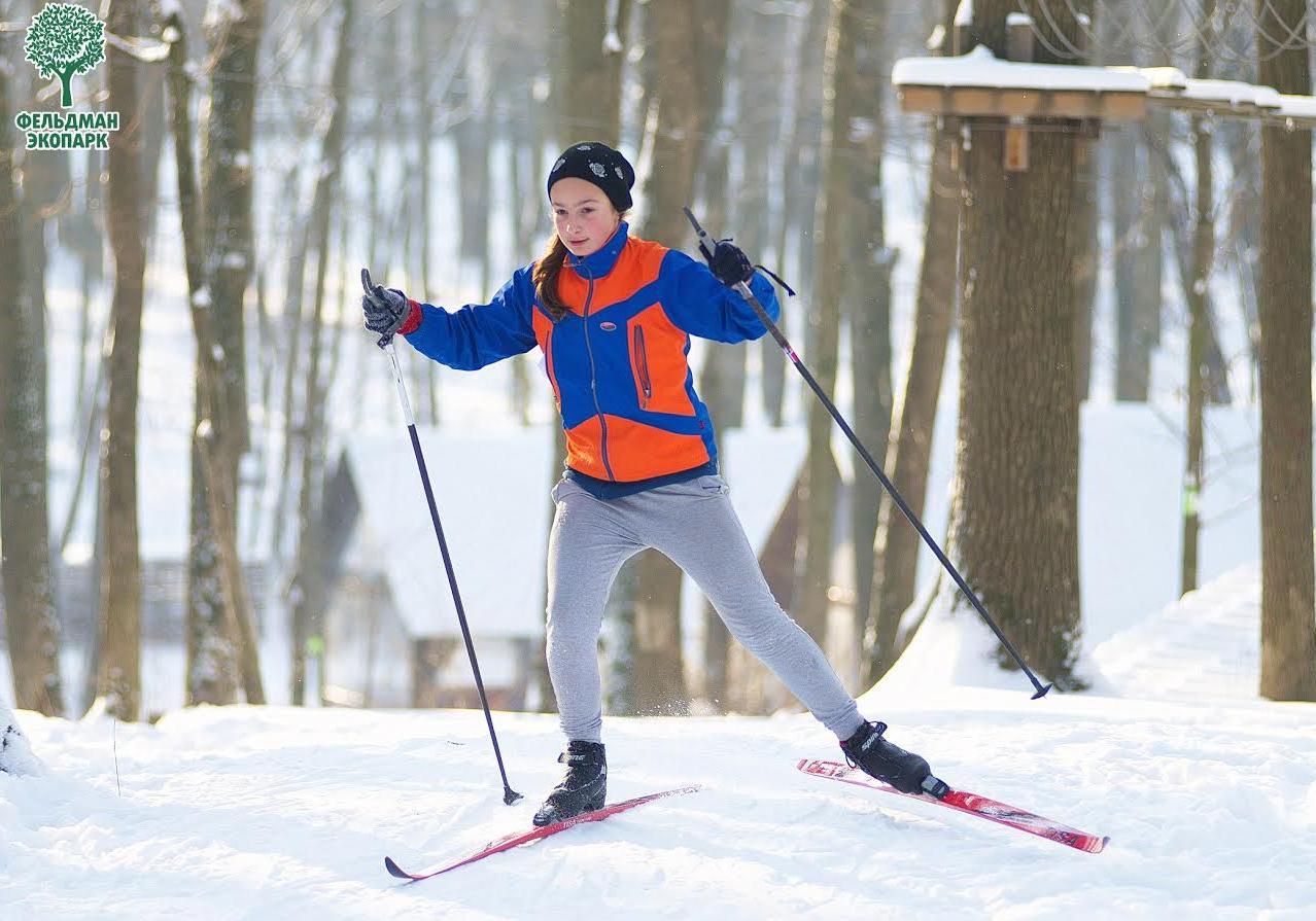 Новость - Досуг и еда - Лыжные соревнования, катание на санях в собачьих упряжках, полевая каша: в экопарке отметят День снега