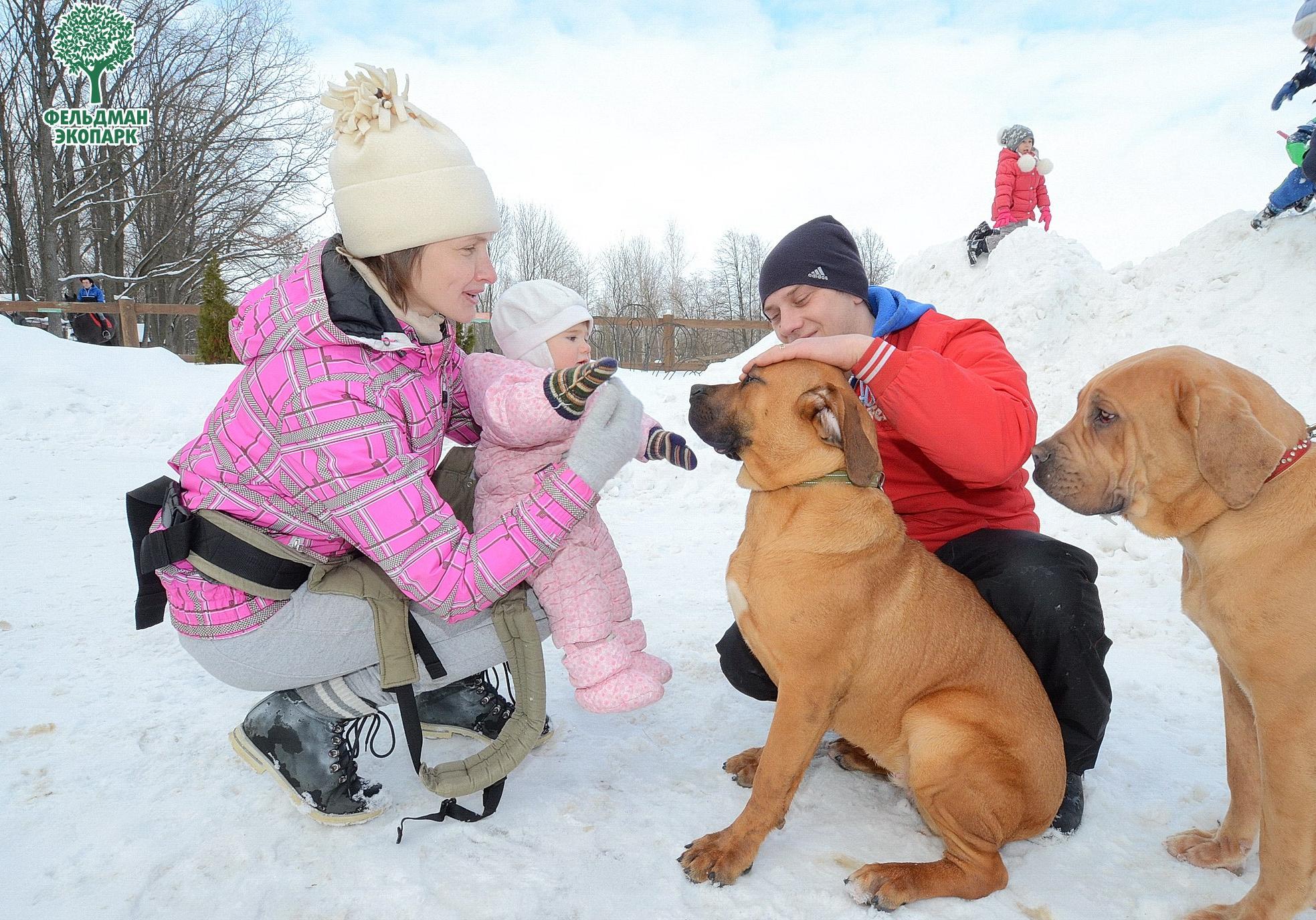 Новость - Досуг и еда - Играем с титулованными собаками и готовим леденцы: харьковчан приглашают на выходные в экопарк