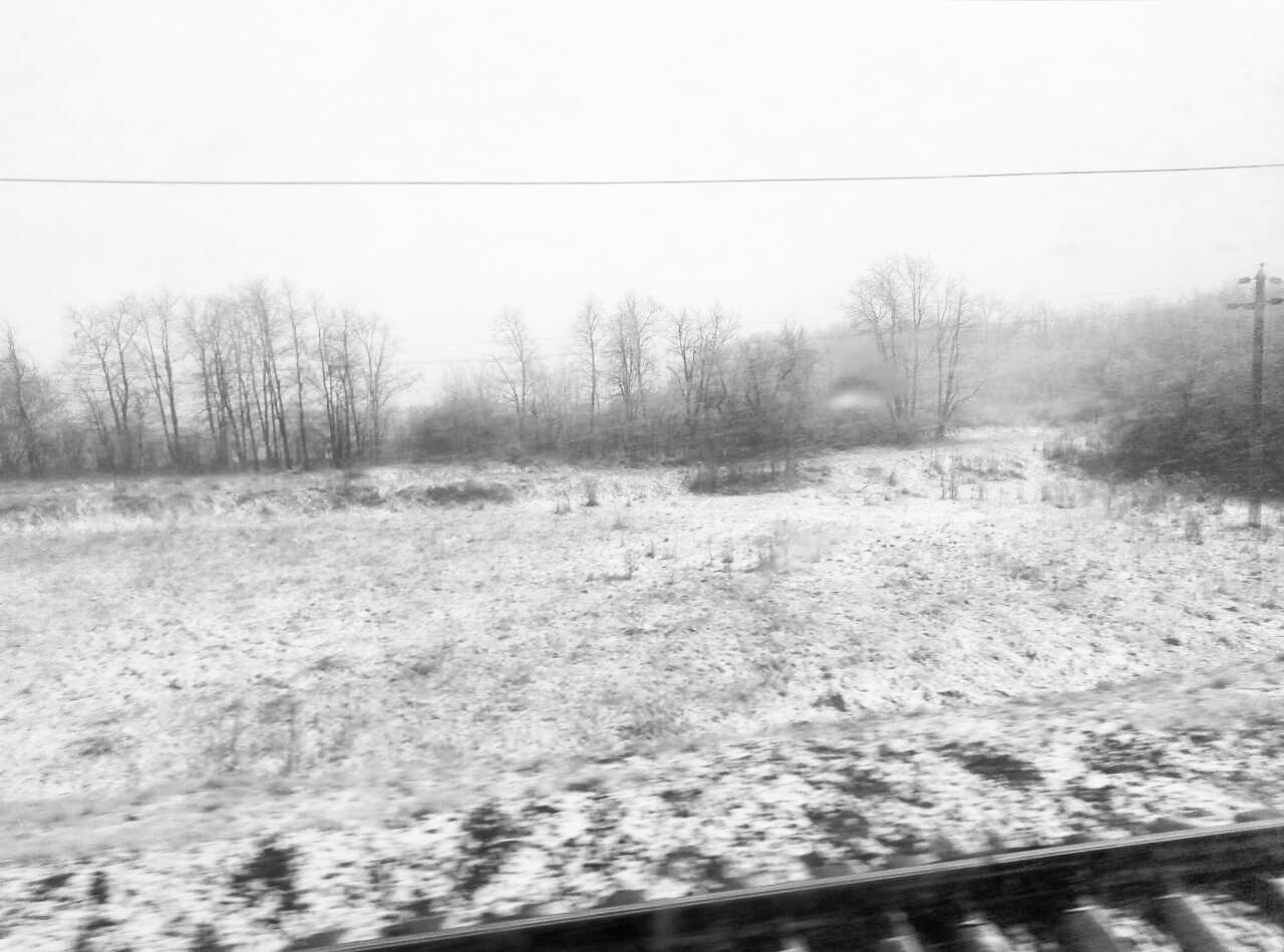 Новость - События - Поиграть в снежки: дополнительные каникулы для школьников объявили в еще одном районе Харьковской области