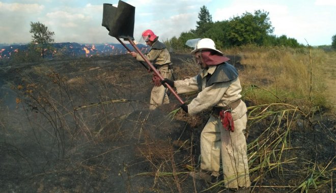 Новость - События - Крупный пожар: самолеты сбросят полсотни тонн воды на горящий под Харьковом лес