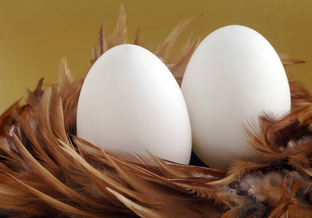 Афиша - Праздники - Всемирный день яйца