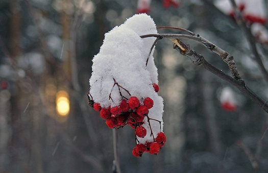 В Харьков постепенно приходит зима.