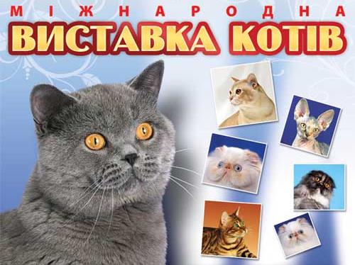 В выставке примут участие кошки разнообразных пород.