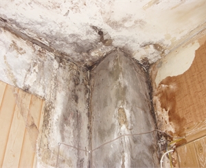Фото автора. В некоторых квартирах стены от сырости покрылись уже плесенью. 