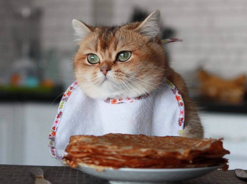 Проводи зиму: где поесть блины в Киеве на Масленицу-2020