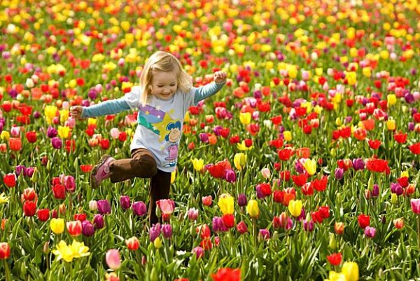 Пакуй чемодан: в Крыму снизились цены на майский отдых