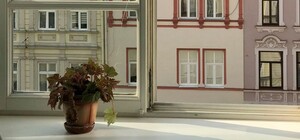 Львів з мого вікна: туристичний центр запустив флешмоб у соцмережах