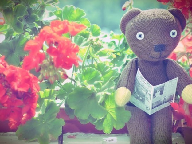 Прочитано про Львів: що пишуть і говорять про місто 16 січня