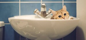 Коли включать: частина Львова залишилась без води