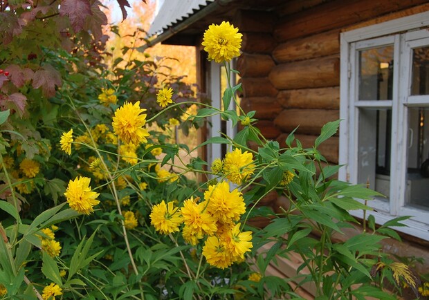 Самоизоляция: сколько стоит снять дачу в Днепре и за городом