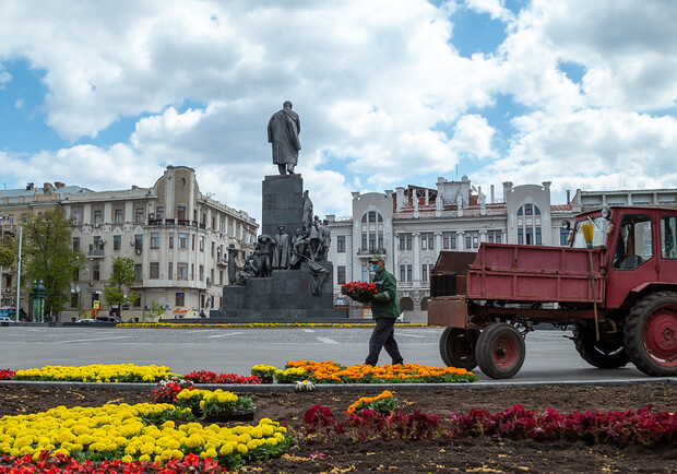 В саду Шевченко высаживают 200 000 цветов. Фото: редпост