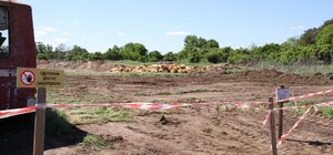 Гибель 600 тыс кур на кременчугской птицефабрике: птицу до сих пор не утилизировали