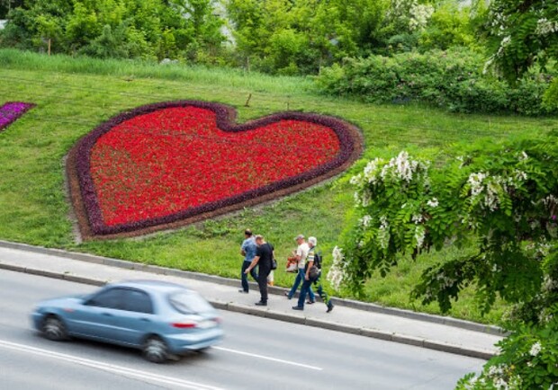 В Харькове высаживают 100-метровую клумбу. Фото: izvestia.kharkov.ua