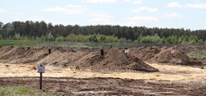 На Полтавщине 600 тыс кур закопали в ямы под селом: люди беспокоятся о качестве воды