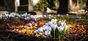 Живіть довго і щасливо: за рік у Львові закінчаться місця для поховань