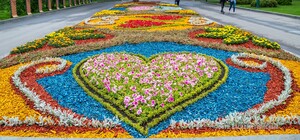 Петунии, тагетис, портулак: в саду Шевченко высадили новые клумбы