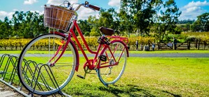 Оставь двухколесный: на Харьковском массиве появились велопарковки