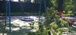 Увезли в больницу: в саду Шевченко на 10-летнюю девочку упала ветка