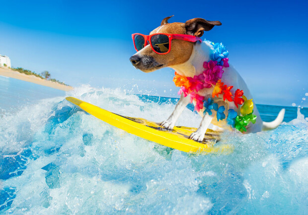 Турция vs Затока: сколько придется потратить на отпуск под Одессой и за границей