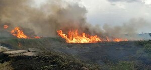 Виноваты люди: за сутки в Днепропетровской области сгорело 30 гектаров экосистем