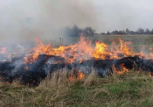 В Харькове горит 1,5 гектара травы. Фото иллюстративное: youtube.com
