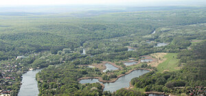 Официально: Харьковскую область поделили на 7 районов