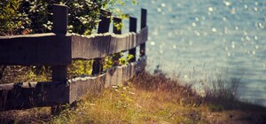 Поранився іржавим цвяхом: у Львові хлопчик захворів на правець 