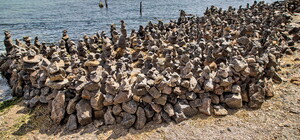 Удивительный баланс: на одесском пляже появился сад из камней 