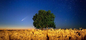 Увидим еще нескоро: одесситы продолжают наблюдать за летящей кометой