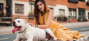 Адреси і графік: львів'яни зможуть безкоштовно чіпувати собак