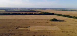 Фотофакт: на поле под Киевом заметили огромную фигуру в виде бутылки