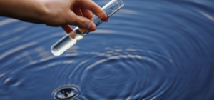 Получи ответ: есть ли в Днепре или Азовском море холера