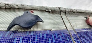 Помоги копейкой: киевлян просят скинуться на ремонт скульптур с Пейзажки