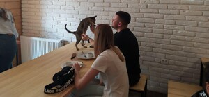 У центрі Львова відкрили Саt сafe: фото і відео 