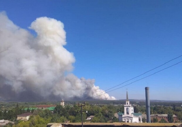 Дым добрался до города: под Харьковом — масштабные лесные пожары. Фото: Дмитрий Дробот