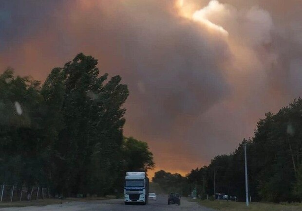 Под Харьковом — еще один масштабный лесной пожар. Фото: ХХ
