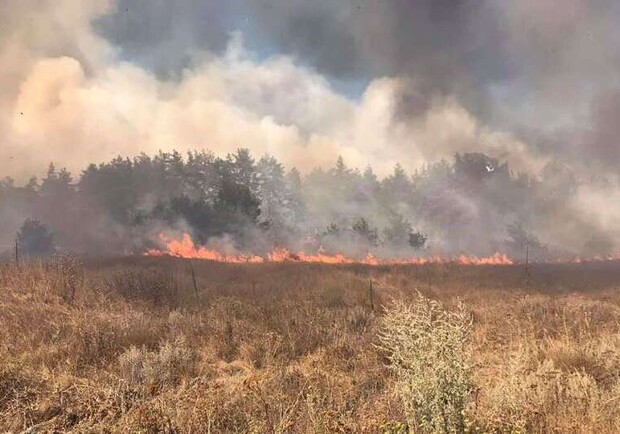 Пожарные локализовали один из лесных пожаров под Харьковом. Фото: kh.dsns.gov.ua