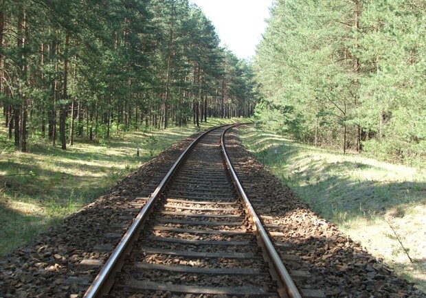 Частично: в районе лесного пожара под Харьковом пустили поезда - фото
